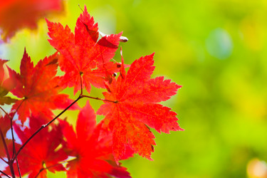 Similar image 495212