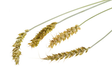 Similar image 495219