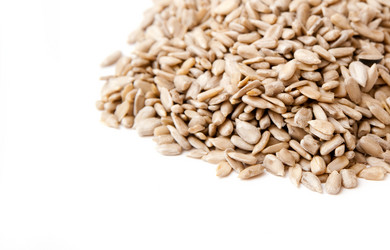 Similar image 495227