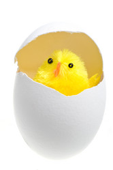 Similar image 495234