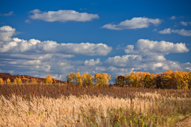 Similar image 495435