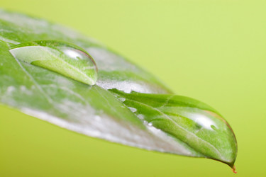 Similar image 495525