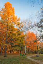 Similar image 495526