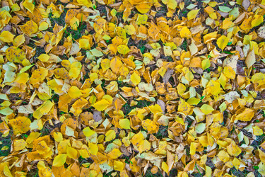 Similar image 495529