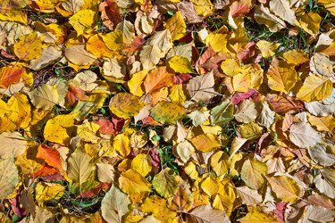 Similar image 495530