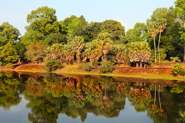 Similar image 495532