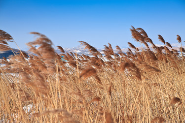 Similar image 495720