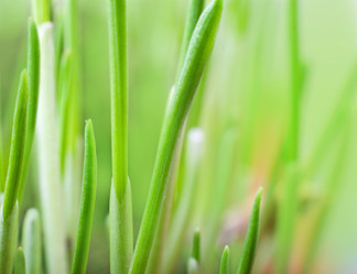 Similar image 495913