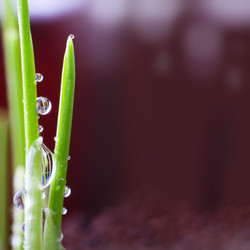 Similar image 495914