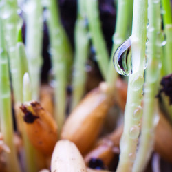 Similar image 495916