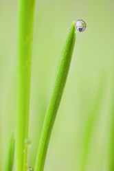 Similar image 495917