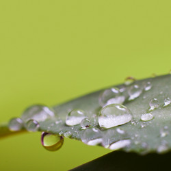 Similar image 495918