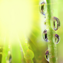 Similar image 495921