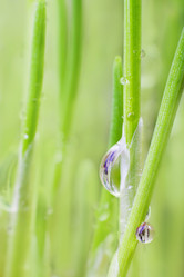 Similar image 495922