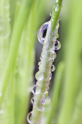 Similar image 495923