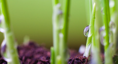 Similar image 495924