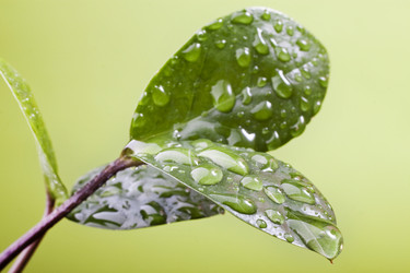 Similar image 495926