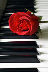 Similar image 496386