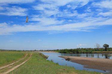 Similar image 496492