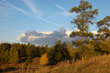 Similar image 496734