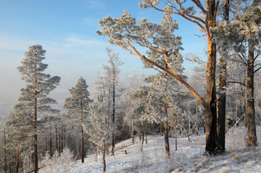 Similar image 496738