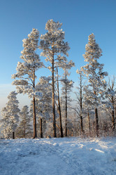 Similar image 496742