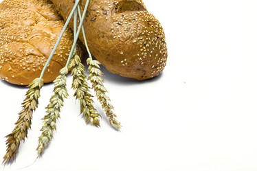 Similar image 496771