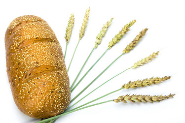 Similar image 496774