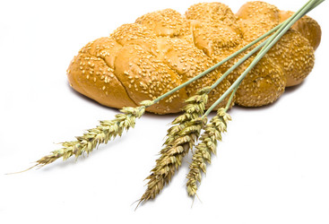 Similar image 496779