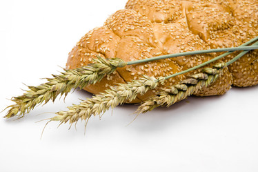 Similar image 496781