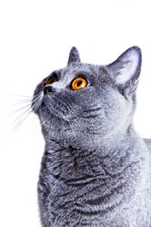 Similar image 496802