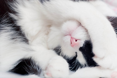 Similar image 496805