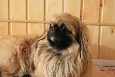 Similar image 496808