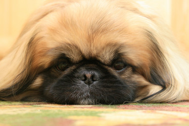 Similar image 496810