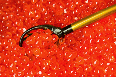 Similar image 496819