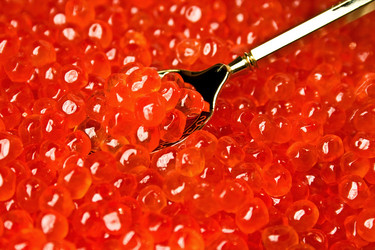 Similar image 496821