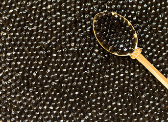 Similar image 496823