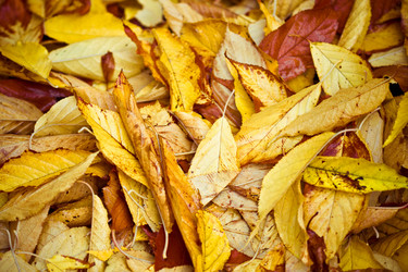 Similar image 496824