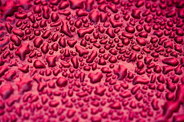 Similar image 496842