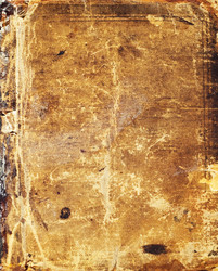 Similar image 496862