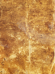 Similar image 496863