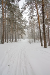 Similar image 496871