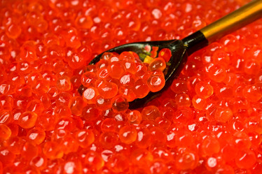 Similar image 496929