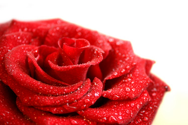 Similar image 496987