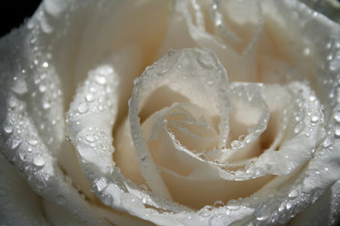 Similar image 496988