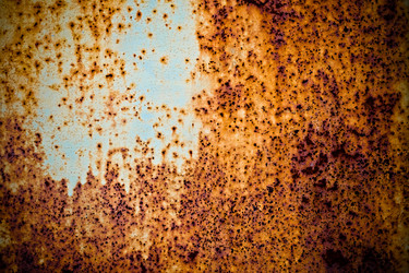 Similar image 497004