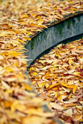 Similar image 497036