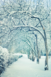 Similar image 497052