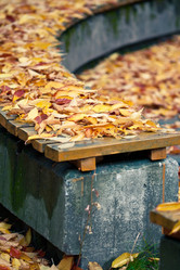 Similar image 497061