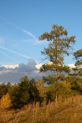 Similar image 497086